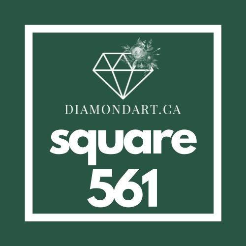Square Diamonds DMC 500 - 699-500 diamonds (3 grams)-561-DiamondArt.ca