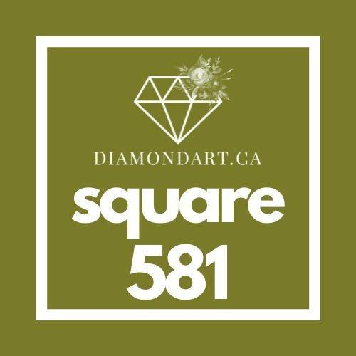 Square Diamonds DMC 500 - 699-500 diamonds (3 grams)-581-DiamondArt.ca