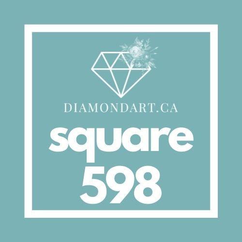 Square Diamonds DMC 500 - 699-500 diamonds (3 grams)-598-DiamondArt.ca