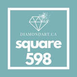 Square Diamonds DMC 500 - 699-500 diamonds (3 grams)-598-DiamondArt.ca