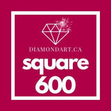 Square Diamonds DMC 500 - 699-500 diamonds (3 grams)-600-DiamondArt.ca