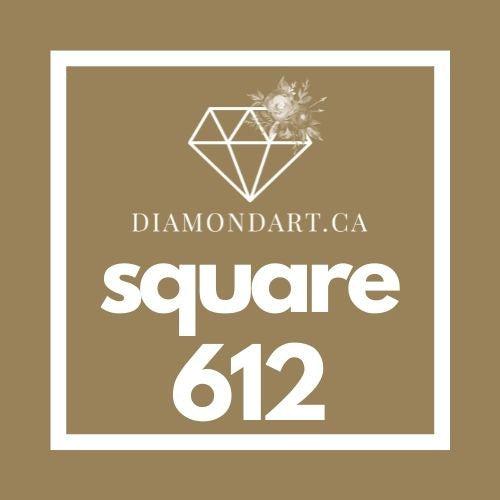 Square Diamonds DMC 500 - 699-500 diamonds (3 grams)-612-DiamondArt.ca