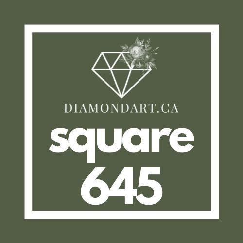 Square Diamonds DMC 500 - 699-500 diamonds (3 grams)-645-DiamondArt.ca