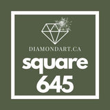 Square Diamonds DMC 500 - 699-500 diamonds (3 grams)-645-DiamondArt.ca