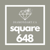 Square Diamonds DMC 500 - 699-500 diamonds (3 grams)-648-DiamondArt.ca