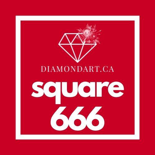 Square Diamonds DMC 500 - 699-500 diamonds (3 grams)-666-DiamondArt.ca