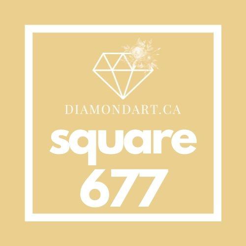 Square Diamonds DMC 500 - 699-500 diamonds (3 grams)-677-DiamondArt.ca