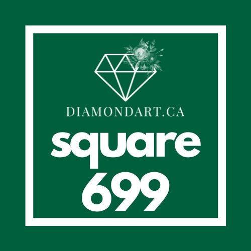 Square Diamonds DMC 500 - 699-500 diamonds (3 grams)-699-DiamondArt.ca