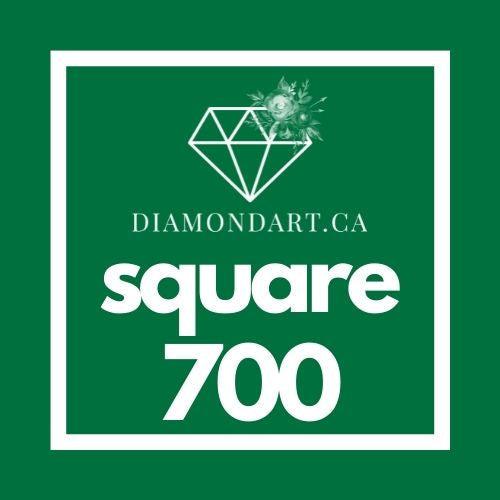 Square Diamonds DMC 700 - 899-500 diamonds (3 grams)-700-DiamondArt.ca