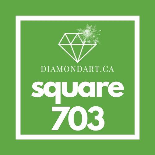 Square Diamonds DMC 700 - 899-500 diamonds (3 grams)-703-DiamondArt.ca