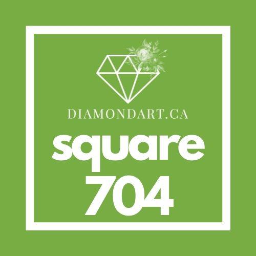 Square Diamonds DMC 700 - 899-500 diamonds (3 grams)-704-DiamondArt.ca