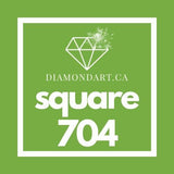 Square Diamonds DMC 700 - 899-500 diamonds (3 grams)-704-DiamondArt.ca
