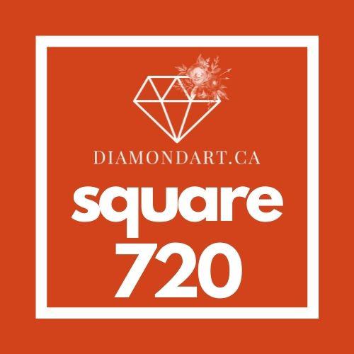 Square Diamonds DMC 700 - 899-500 diamonds (3 grams)-720-DiamondArt.ca