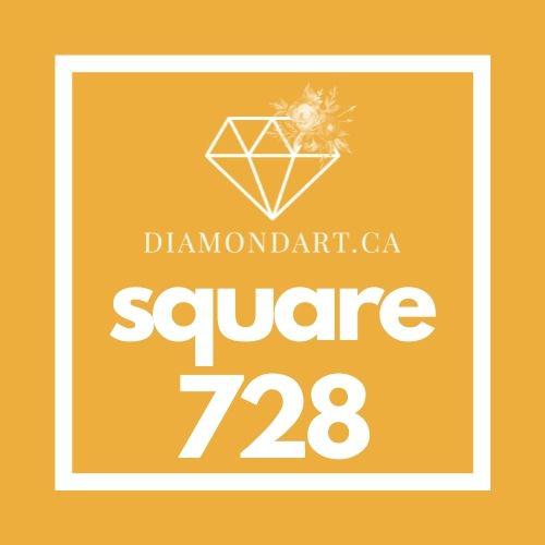 Square Diamonds DMC 700 - 899-500 diamonds (3 grams)-728-DiamondArt.ca