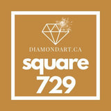 Square Diamonds DMC 700 - 899-500 diamonds (3 grams)-729-DiamondArt.ca