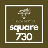 Square Diamonds DMC 700 - 899-500 diamonds (3 grams)-730-DiamondArt.ca