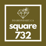 Square Diamonds DMC 700 - 899-500 diamonds (3 grams)-732-DiamondArt.ca