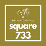 Square Diamonds DMC 700 - 899-500 diamonds (3 grams)-733-DiamondArt.ca