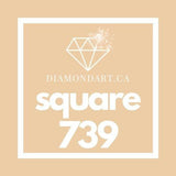 Square Diamonds DMC 700 - 899-500 diamonds (3 grams)-739-DiamondArt.ca