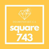 Square Diamonds DMC 700 - 899-500 diamonds (3 grams)-743-DiamondArt.ca