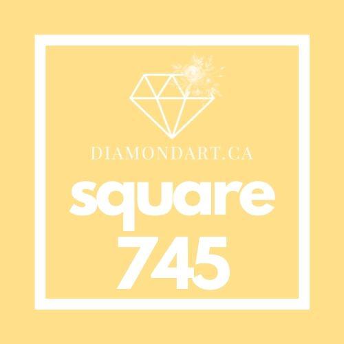 Square Diamonds DMC 700 - 899-500 diamonds (3 grams)-745-DiamondArt.ca
