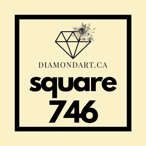 Square Diamonds DMC 700 - 899-500 diamonds (3 grams)-746-DiamondArt.ca