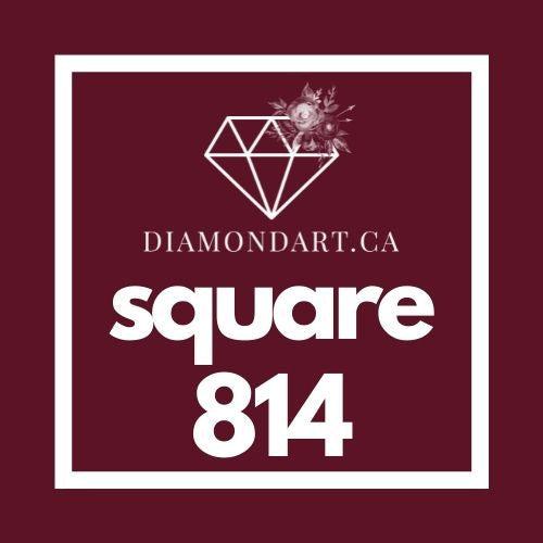 Square Diamonds DMC 700 - 899-500 diamonds (3 grams)-814-DiamondArt.ca