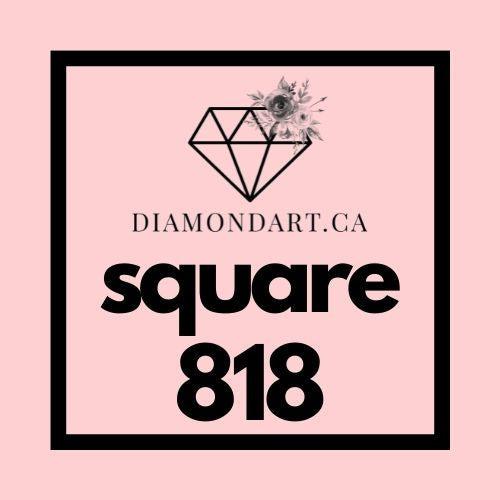 Square Diamonds DMC 700 - 899-500 diamonds (3 grams)-818-DiamondArt.ca