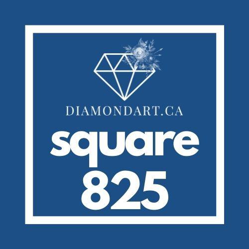 Square Diamonds DMC 700 - 899-500 diamonds (3 grams)-825-DiamondArt.ca