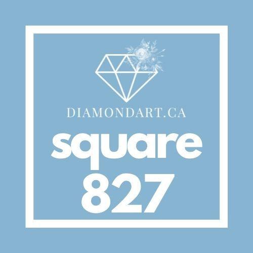 Square Diamonds DMC 700 - 899-500 diamonds (3 grams)-827-DiamondArt.ca