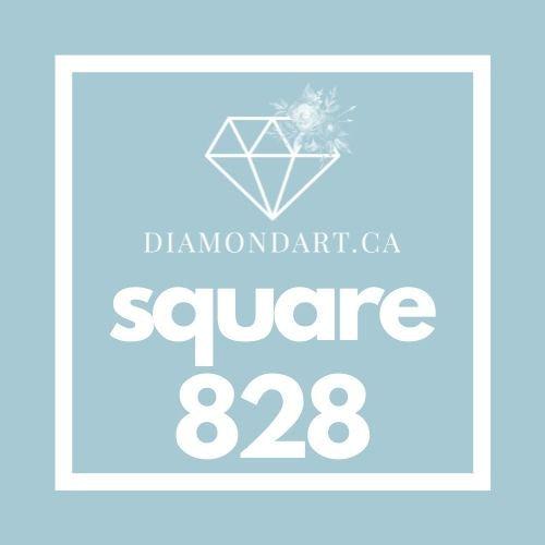 Square Diamonds DMC 700 - 899-500 diamonds (3 grams)-828-DiamondArt.ca