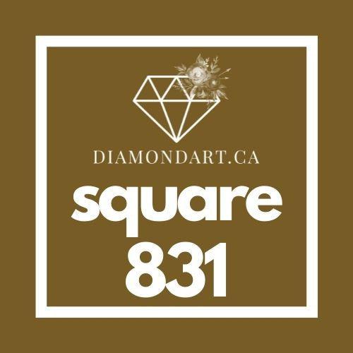 Square Diamonds DMC 700 - 899-500 diamonds (3 grams)-831-DiamondArt.ca