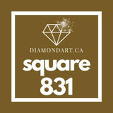Square Diamonds DMC 700 - 899-500 diamonds (3 grams)-831-DiamondArt.ca