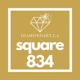 Square Diamonds DMC 700 - 899-500 diamonds (3 grams)-834-DiamondArt.ca