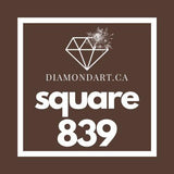 Square Diamonds DMC 700 - 899-500 diamonds (3 grams)-839-DiamondArt.ca