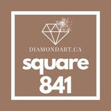 Square Diamonds DMC 700 - 899-500 diamonds (3 grams)-841-DiamondArt.ca