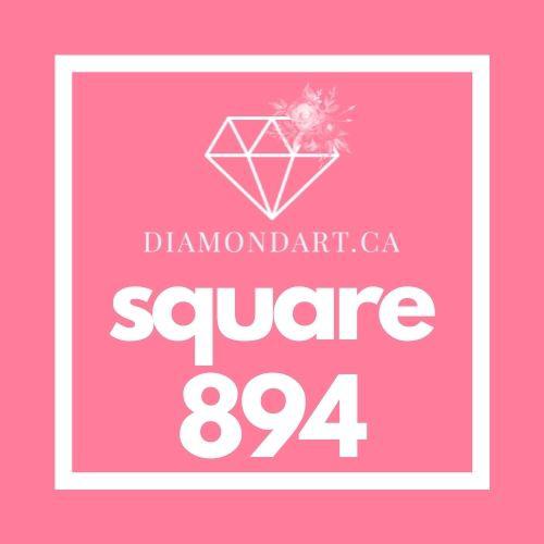 Square Diamonds DMC 700 - 899-500 diamonds (3 grams)-894-DiamondArt.ca