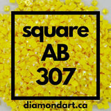 Square AB Diamonds DMC 100 - 899-150 diamonds (1 gram)-307-DiamondArt.ca